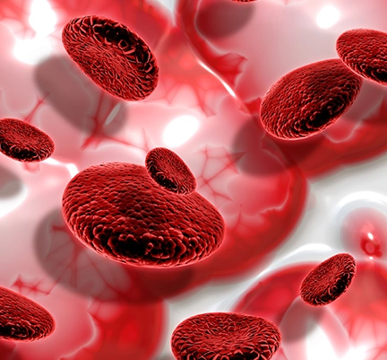 BloodPril natural blood pressure supplement